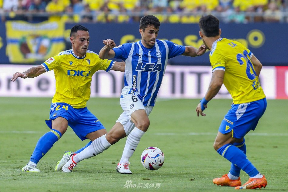 活的合同条 活的合同条