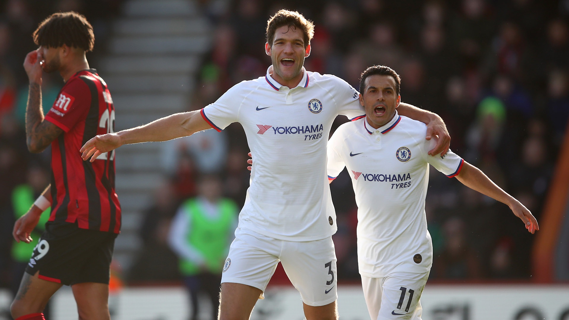 一帆风顺 一帆风顺