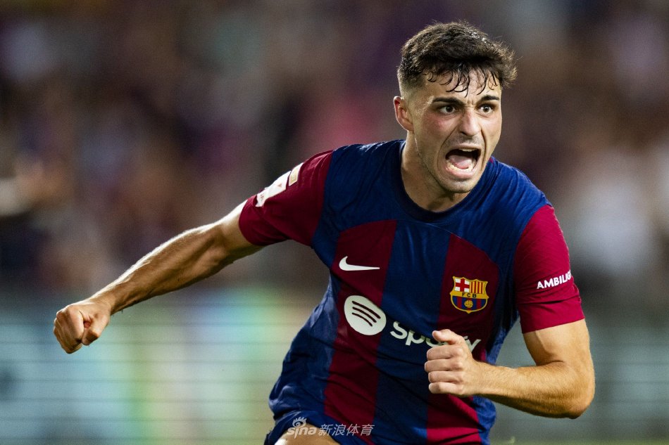 了显著进步 了显著进步